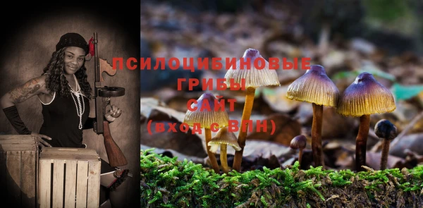 бошки Новокубанск