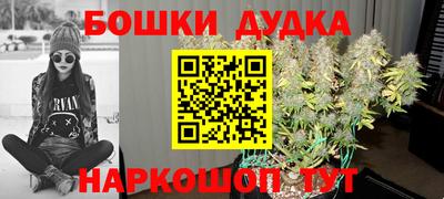 шишки Гусиноозёрск
