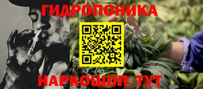 шишки Гусиноозёрск
