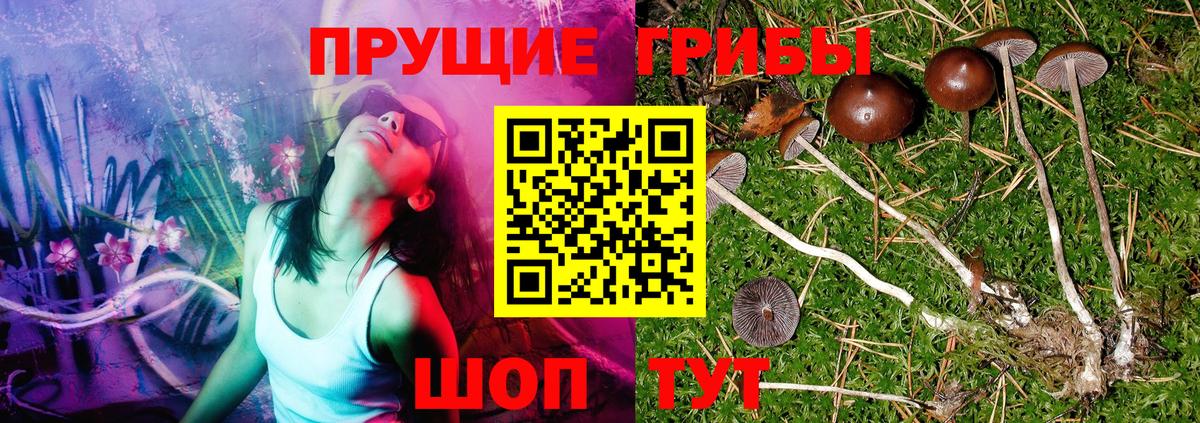 Псилоцибиновые грибы Magic Shrooms  Вход с VPN  Печора 